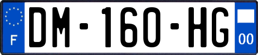 DM-160-HG