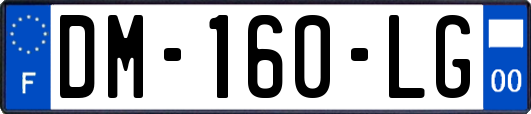 DM-160-LG