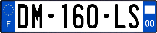 DM-160-LS