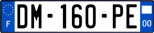 DM-160-PE