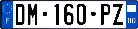 DM-160-PZ