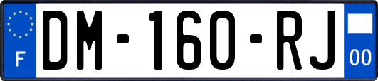 DM-160-RJ