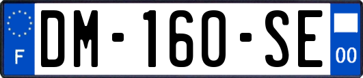 DM-160-SE