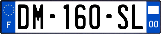 DM-160-SL