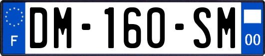 DM-160-SM