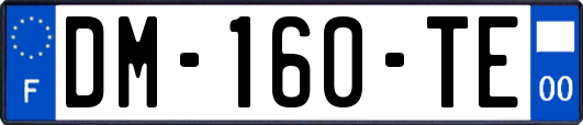 DM-160-TE