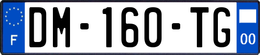DM-160-TG
