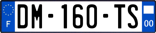 DM-160-TS