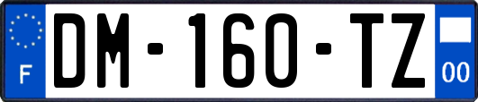 DM-160-TZ