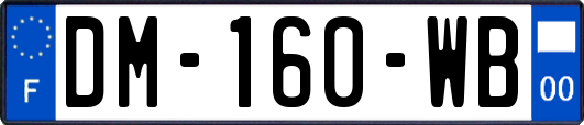 DM-160-WB