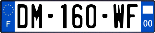 DM-160-WF