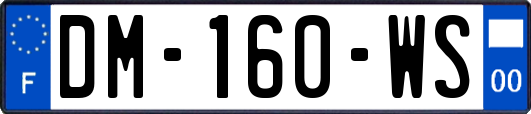 DM-160-WS