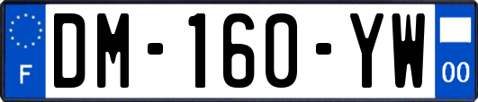 DM-160-YW