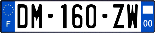 DM-160-ZW