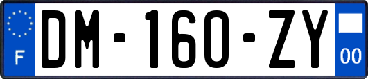 DM-160-ZY