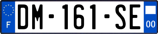 DM-161-SE