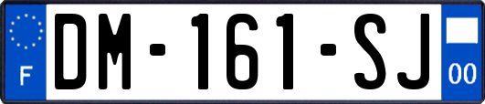 DM-161-SJ