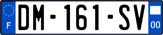 DM-161-SV