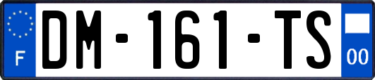 DM-161-TS