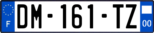 DM-161-TZ