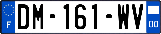 DM-161-WV