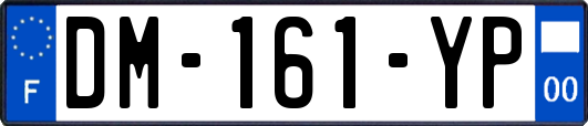 DM-161-YP