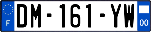 DM-161-YW