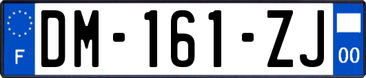 DM-161-ZJ