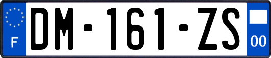 DM-161-ZS