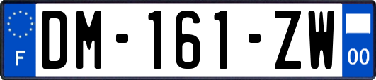 DM-161-ZW