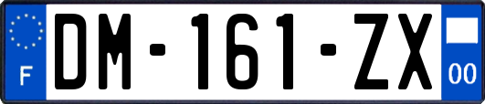 DM-161-ZX