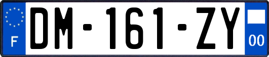 DM-161-ZY