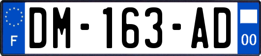 DM-163-AD