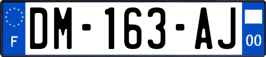 DM-163-AJ