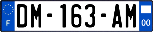 DM-163-AM