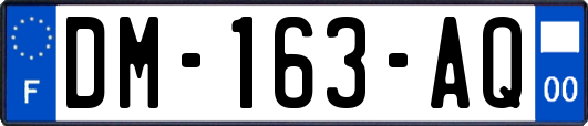 DM-163-AQ