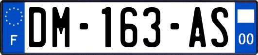 DM-163-AS