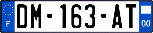 DM-163-AT