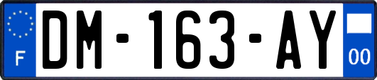 DM-163-AY