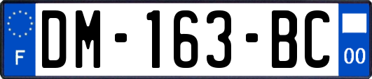 DM-163-BC