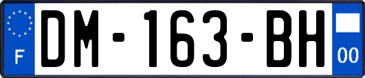 DM-163-BH