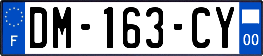 DM-163-CY