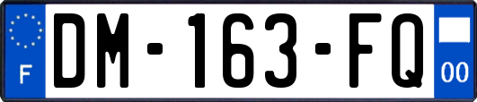 DM-163-FQ