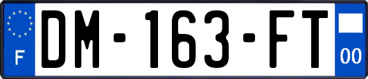 DM-163-FT