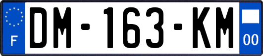 DM-163-KM