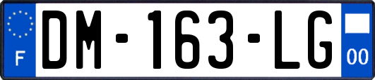 DM-163-LG