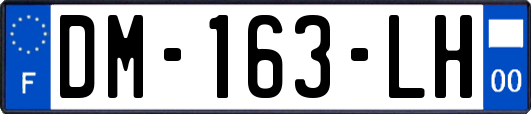 DM-163-LH