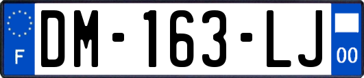 DM-163-LJ