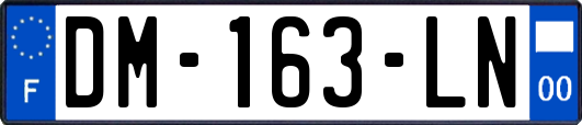 DM-163-LN