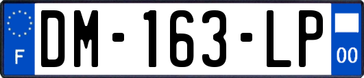 DM-163-LP
